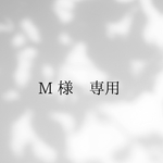 ･:*+.\ M様 専用 /.:+