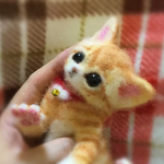 まいごのこねこしゃんNo.2