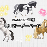 ☆umacoco12様 専用オーダーページ☆