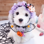 ラスト２点のみ❣️【2023限定】スウィートハロウィン　set /とびきり可愛いハロウィンのおめかしset ＊ハロウィンパーティーにも♪