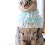 ミントグリーンのフリフリレースチョーカー　猫さん犬さん