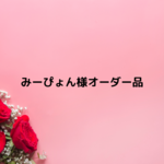 みーぴょん様オーダー品