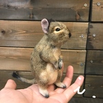 ☆20%off☆ガチデグー♡