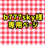 b777sky様専用ページ