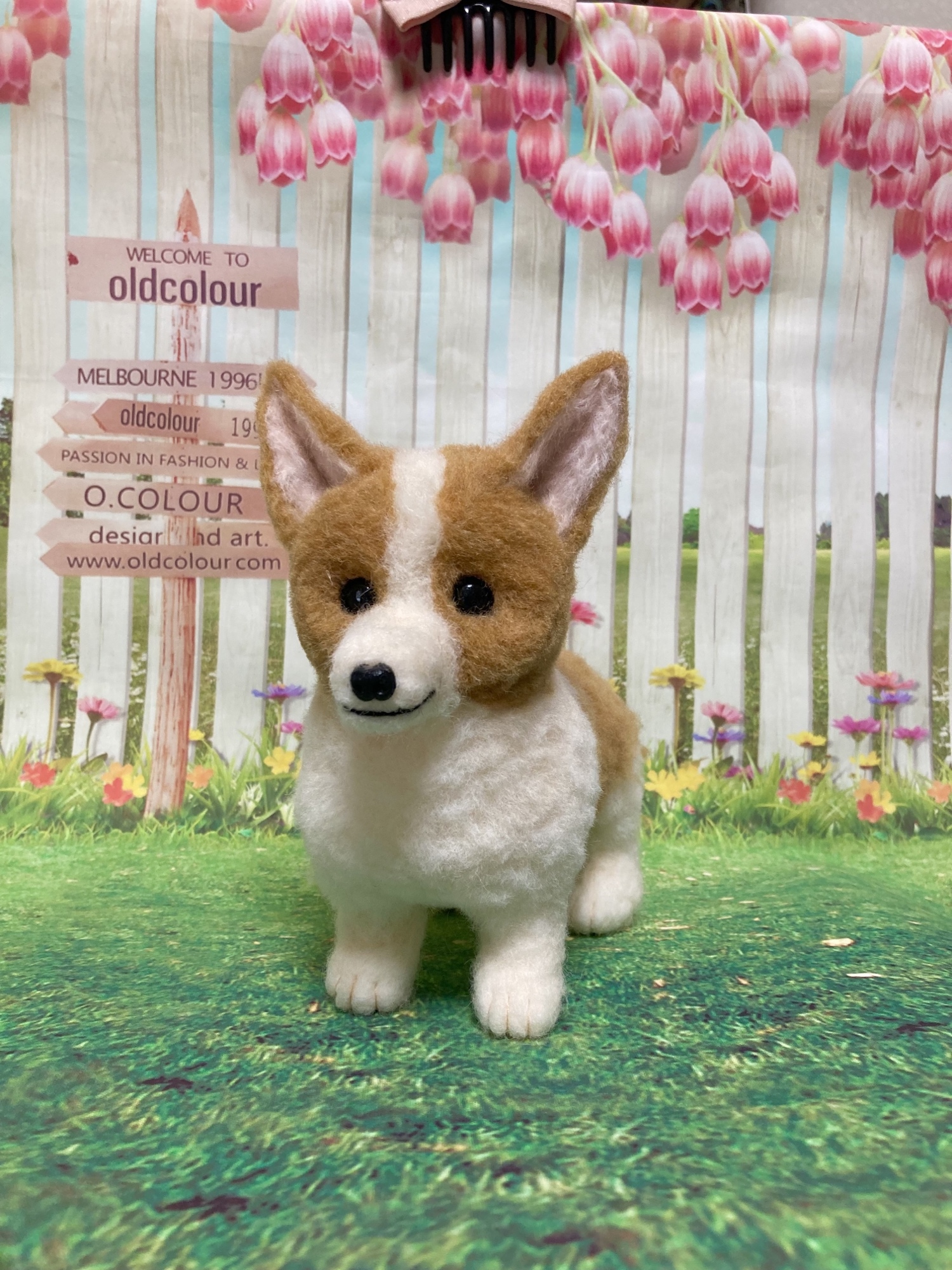 羊毛フェルト ウェルシュ◦コーギー◦ペンブローク 犬 - mokomi