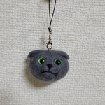 羊毛フェルト スコティッシュフォールド猫ちゃん  ストラップ