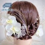 【D-24】 胡蝶蘭 金箔 水引き 髪飾り 結婚式 成人式 卒業式 着物 ヘアード 白 袴 フォトウェディング 前撮り