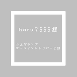小枝ランプ　ゴールデンレトリバー　２頭　ワイヤークラフト　ワイヤーアート