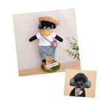 winnie…様専用♡夏のコーディネートセット・おめかしわんこドール『うちの子オーダー』(mii._.wool)