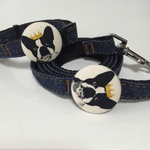 犬用  首輪&リード《中型犬》