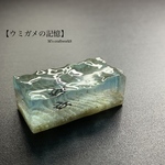 【ウミガメの記憶】1
