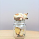 七福小瓶猫　茶三毛