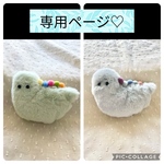 専用ページ