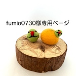 fumio0730様専用ページ(ワカケホンセイインコセット)
