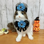 ⭐️再販⭐️ハロウィン　魔女お花モチーフ　カチューシャ＆チョーカー　ブルー