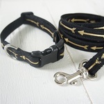 小型犬用★金の矢♡リード&首輪のセット