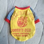 犬服！LLsize！カジュアルTシャツ