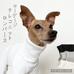 ◉送料無料◉ローゲージテレコニットロンパース
