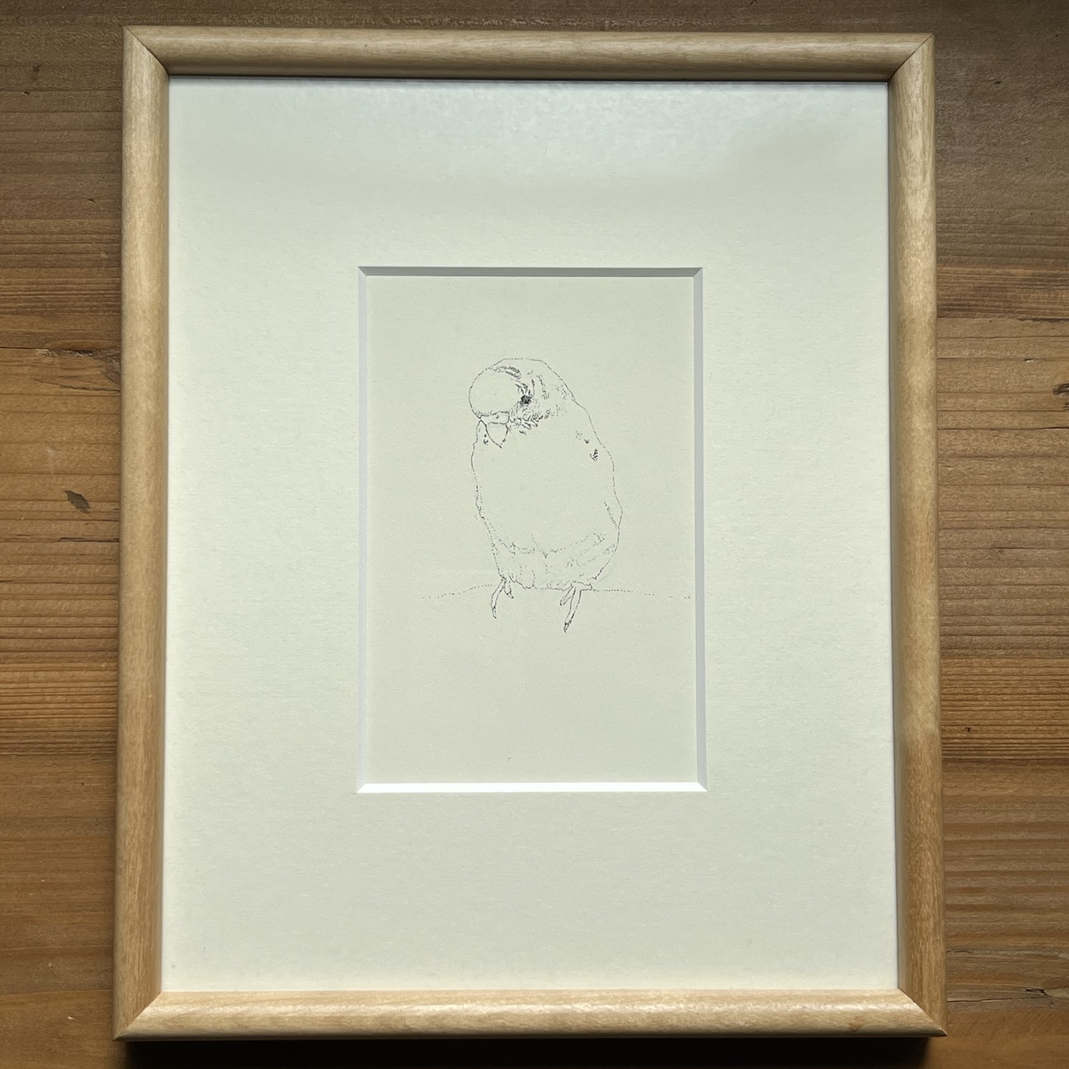 セキセイインコ点描画