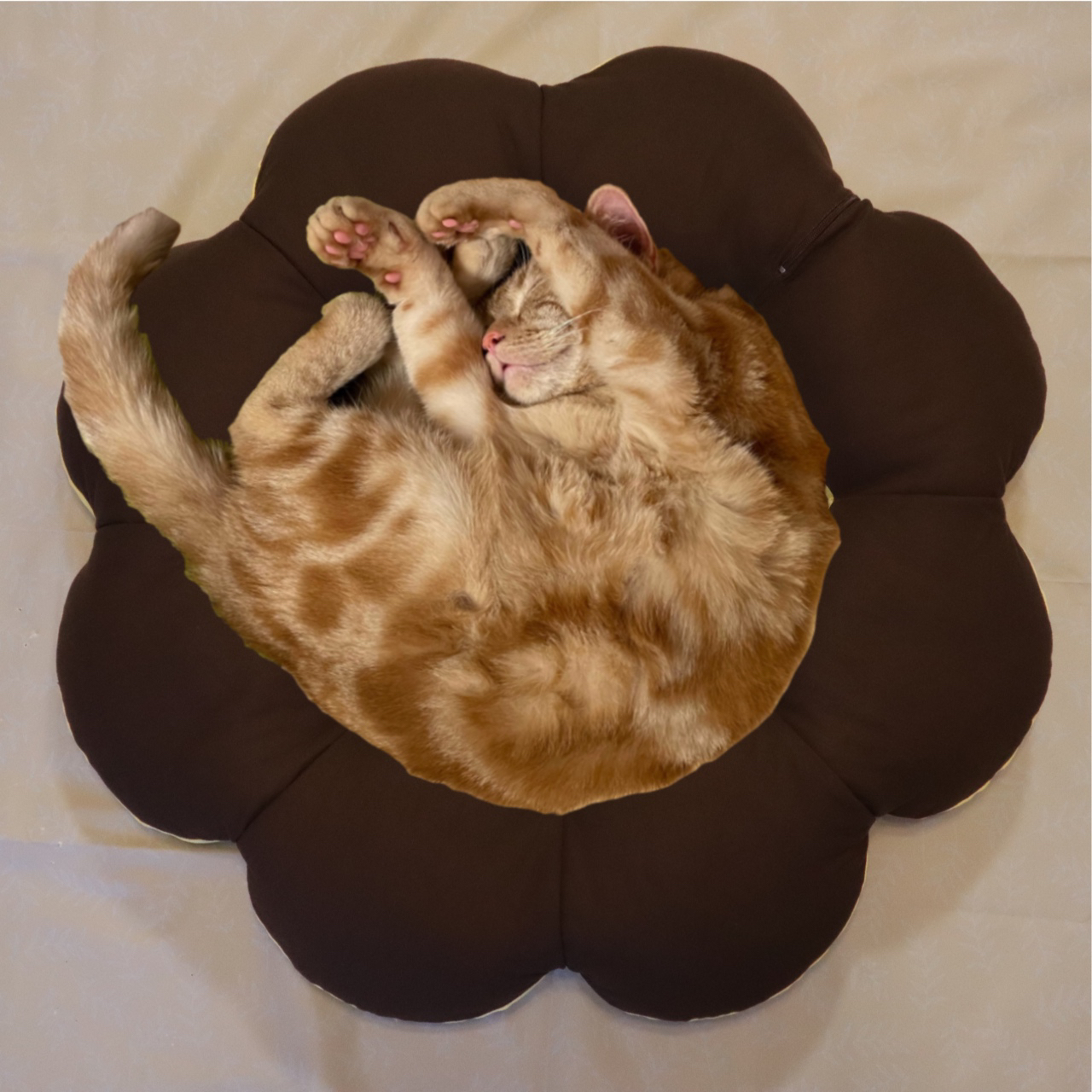 猫ベッドの人気通販 | minne byGMOペパボ 国内最大級の