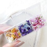 9/8 21:00～販売|花材❁3カラーミックス|デルフィニウム*ハイブリッドスターチス*千日紅他𓇢 𓆸