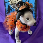 ハロウィンチュチュオレンジ3点セット