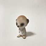 トコトコミーアキャット