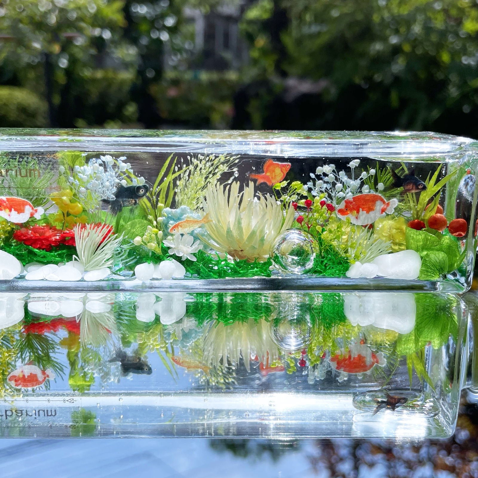 ☆小さな水槽☆金魚さんハーバリウム - Pure Berries'S GALLERY