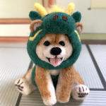 2024年の干支🐲辰のかぶりものを着た柴犬ちゃん(羊毛フェルト)深緑