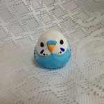 コロコロインコ（中）