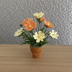 コスモスの花鉢　9