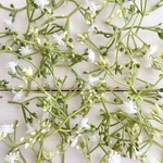 ちいさなかすみ草𓂃 𓈒𓏸◌ 造花・花材・アーティフィシャルフラワー・パーツ