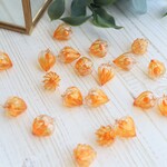 訳あり　鬼灯のピアス/イヤリング