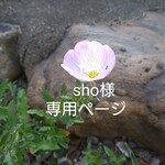 sho様専用ページ