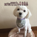 犬用スタイ・バースデースタイ