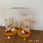 ＊お月見うささん＊