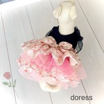 犬服【再販】薔薇模様のハロウィンドレス_ 華やかティアードワンピース