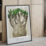 アートポスター/   Pachypodium No.2　 おしゃれインテリア・北欧、モノトーン好きの方に☆
