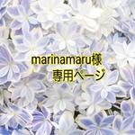 marinamaru様専用ページ　🎵～ネームプレート付きぬい着ぐるみ～🎵