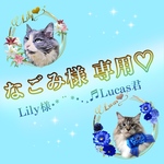 折りたたみうちわ