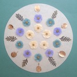 押し花セットC＜組み立てのお花3種＆レースフラワー他＞