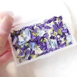 9/8 21:00～販売|花材＊ブルーミックス|デルフィニウム*ハイブリッドスターチス*チドリソウ他𓇢 𓆸
