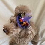 ハロウィンミニミニとんがり帽子(ライトパープル) 小さめ