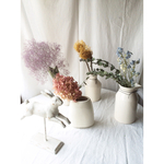 水無月とスモークツリーのアソート
