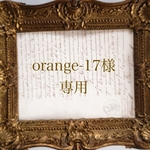 orange-17様専用ページ　※他のお客様はご購入いただけません