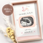 妊娠報告 エコー写真 ジェンダーリビール 妊娠サプライズ