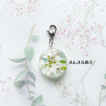 使い方自由【ブレスレットチャーム】ユーフォルビア／ホワイト／クリア／クラシカル／押し花／ドライフラワー／レトロ／ポップ／チャーム／シルバー