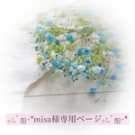 misa様専用ページ