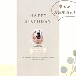 愛犬バースデータペストリー　バースデータペストリー　お誕生日　愛犬　犬　ペット　誕生日タペストリー　バースデー　猫　うさぎ　タペストリー　愛犬誕生日　記念