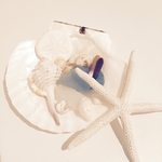 shell set⑦◡̈♥︎